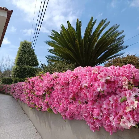 Casa Refugio Dos Sonhos * Viana do Castelo