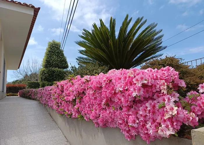 Casa Refugio Dos Sonhos * Viana do Castelo